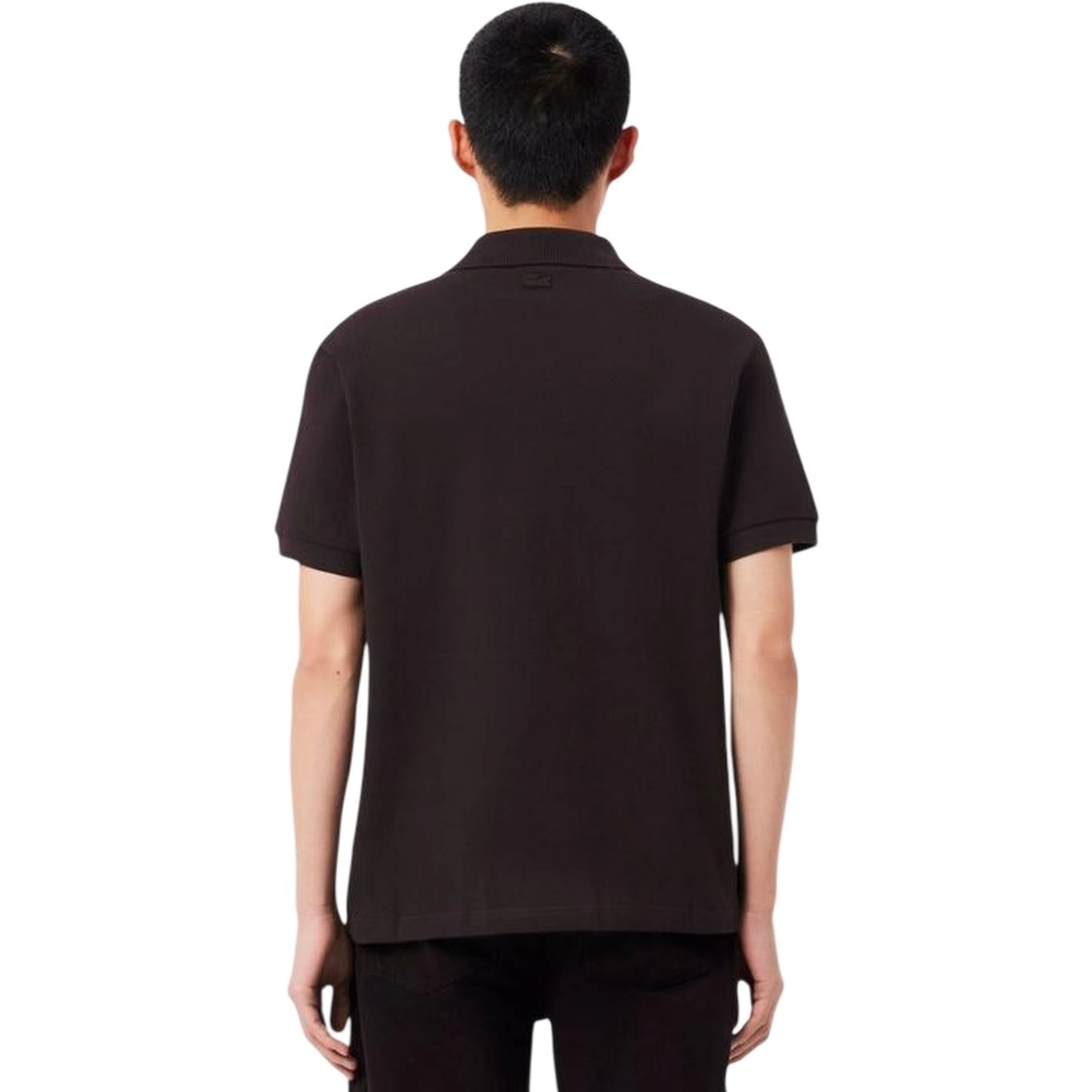 Lacoste T-shirts and Polos Brown