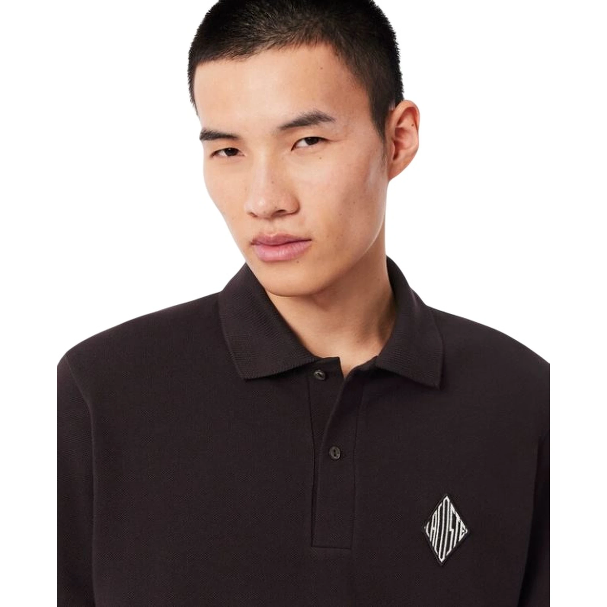 Lacoste T-shirts and Polos Brown