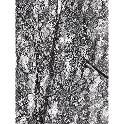 Valentino Garavani Top Black