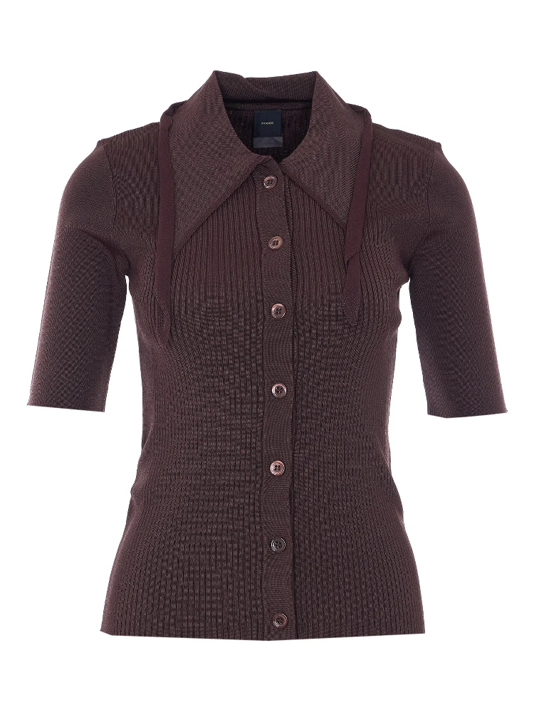 Pinko T-shirts and Polos Brown