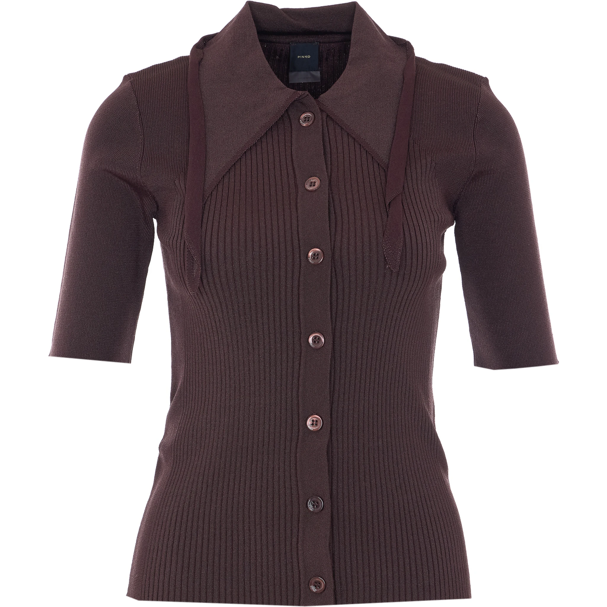 Pinko T-shirts and Polos Brown