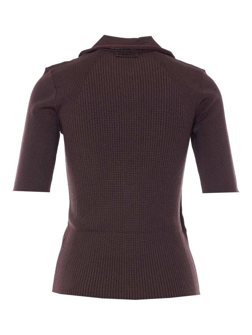 Pinko T-shirts and Polos Brown