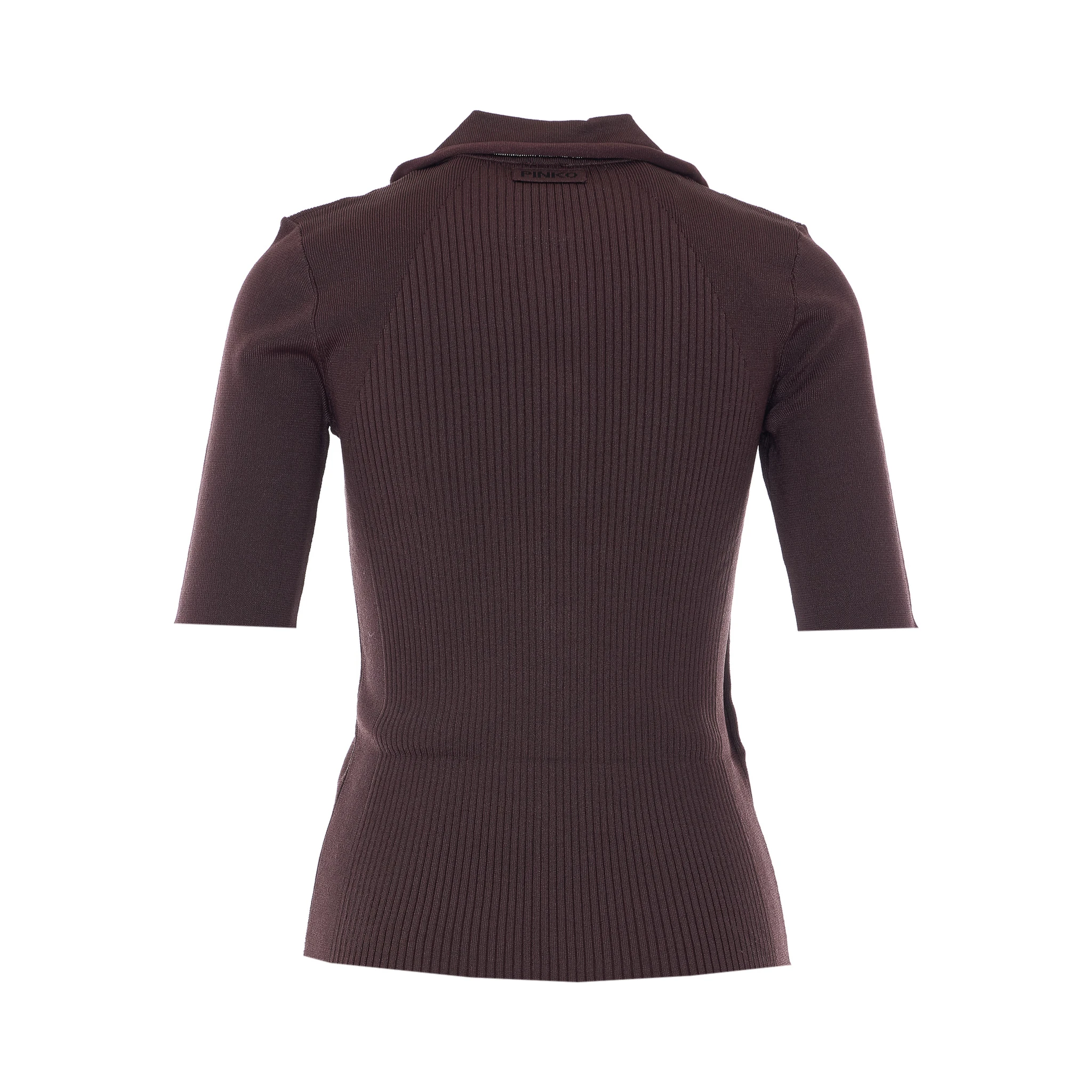 Pinko T-shirts and Polos Brown