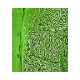 Essentiel antwerp Shirts Green