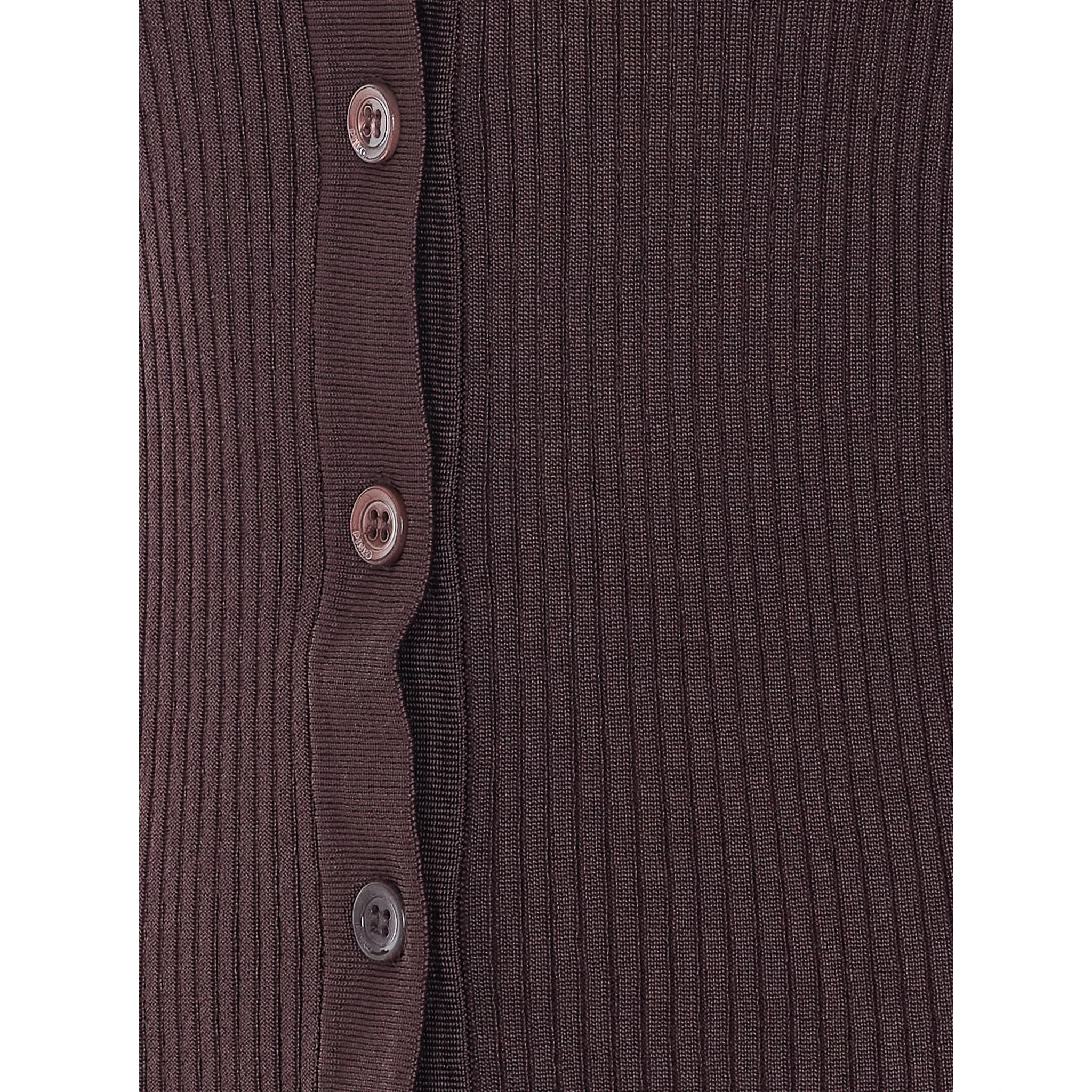 Pinko T-shirts and Polos Brown