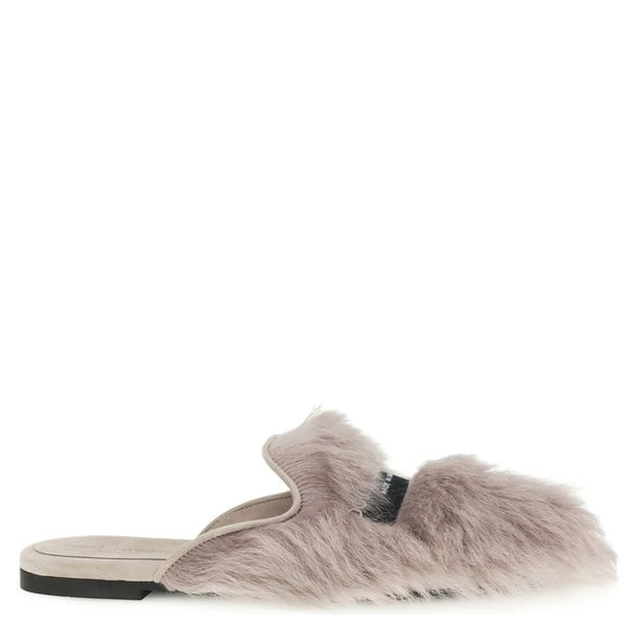 Gray Lamb Ovis Aries Aries Mules