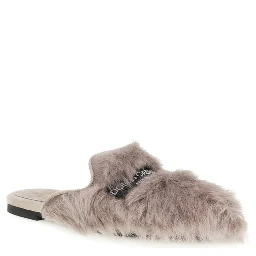 Gray Lamb Ovis Aries Aries Mules