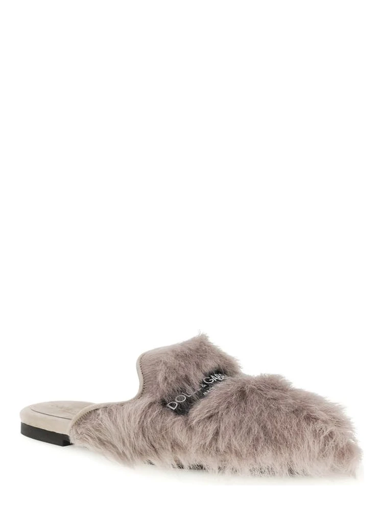 Gray Lamb Ovis Aries Aries Mules alternative