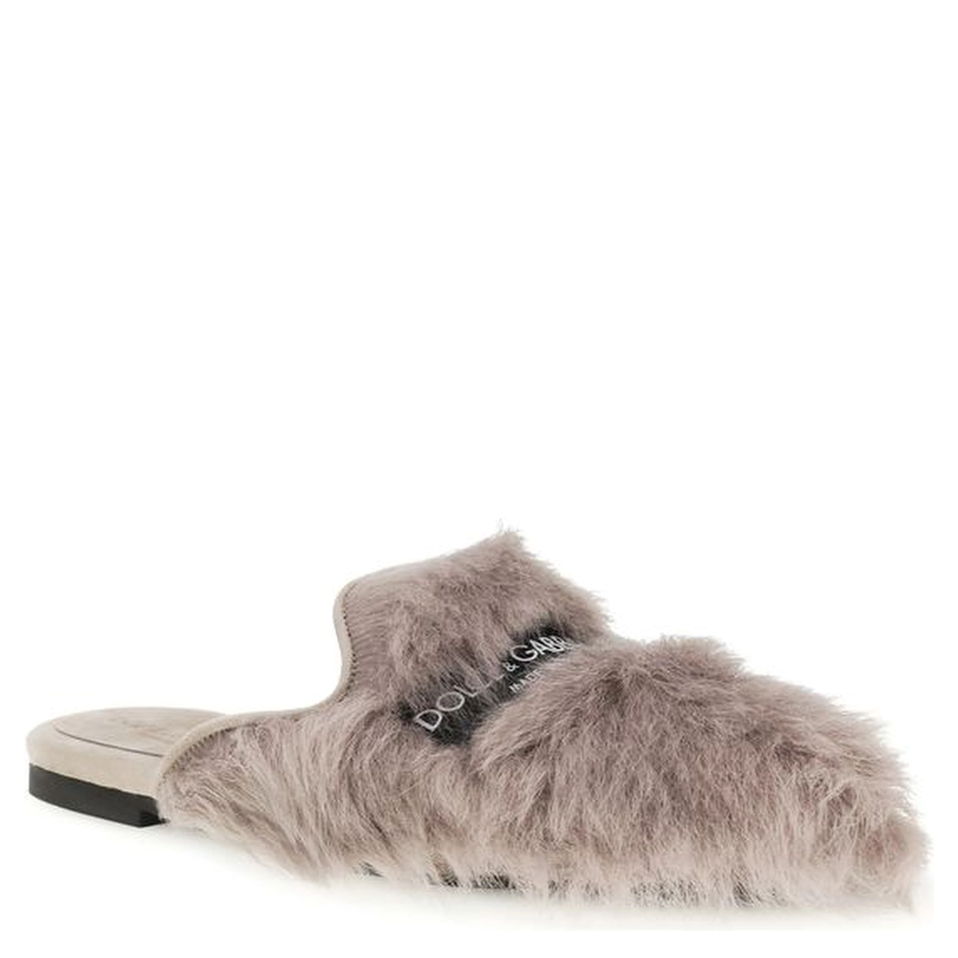 Gray Lamb Ovis Aries Aries Mules