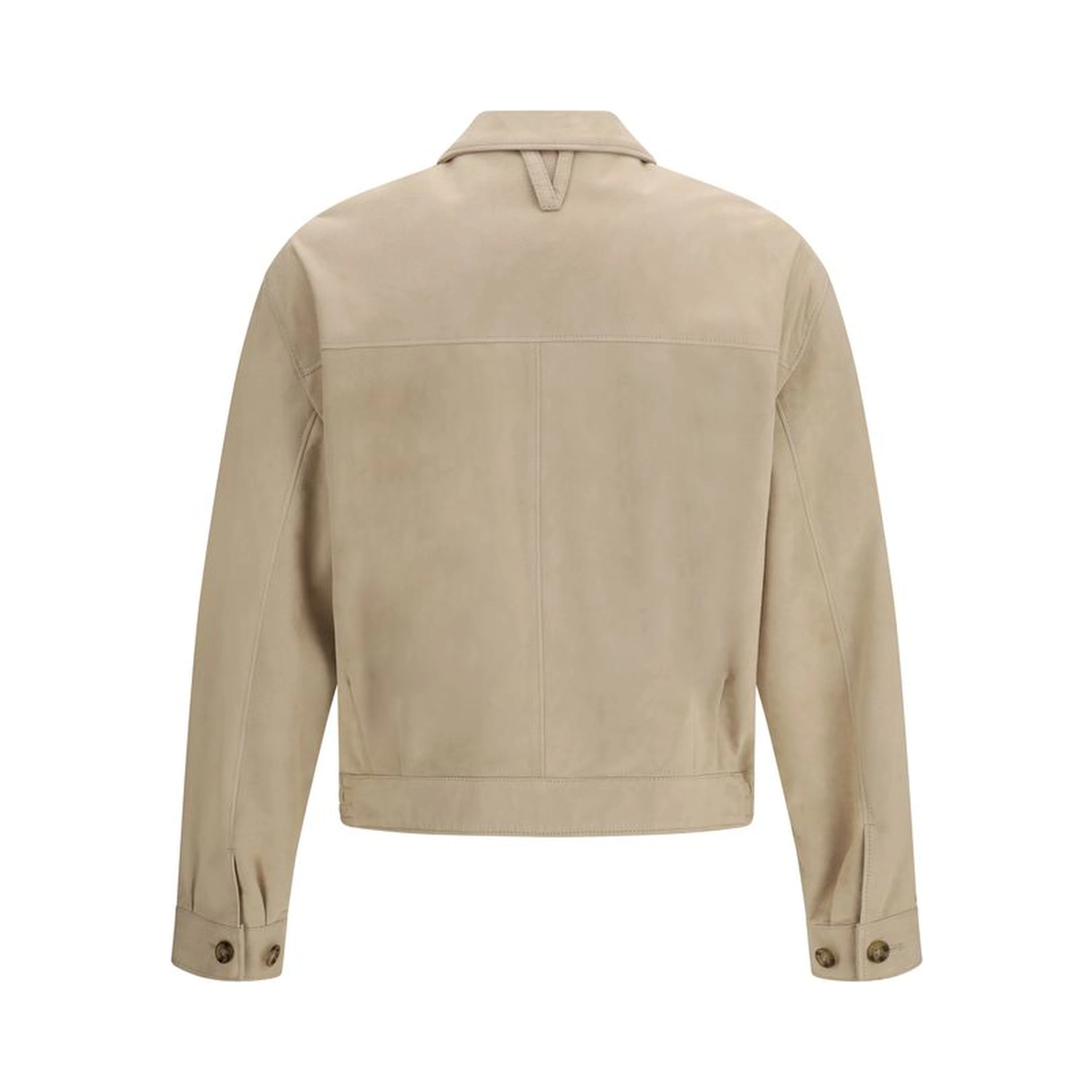 Beige Lamb Ovis Aries Aries Bomber
