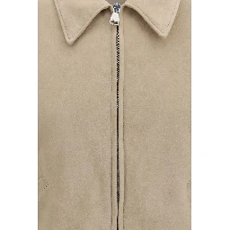 Beige Lamb Ovis Aries Aries Bomber