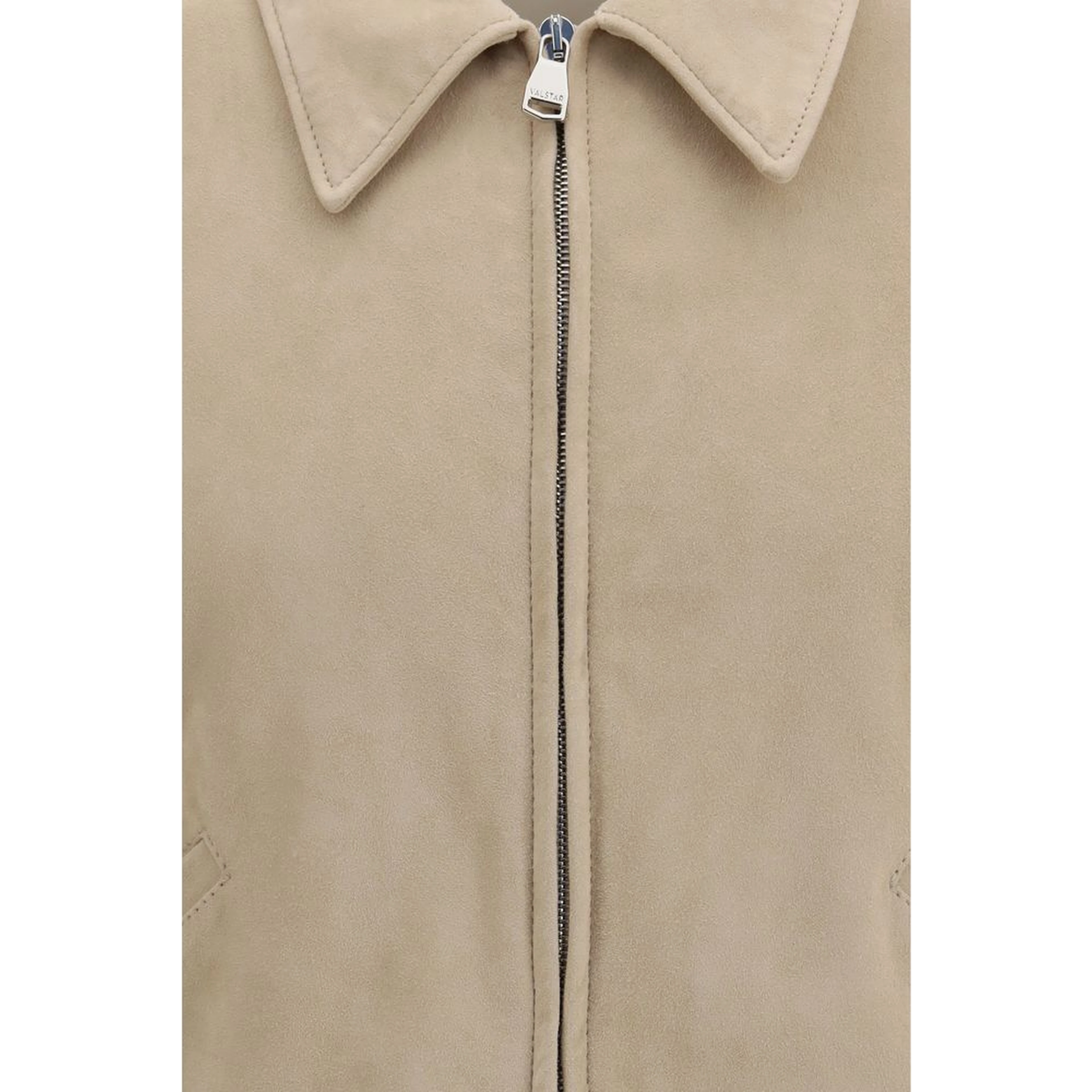 Beige Lamb Ovis Aries Aries Bomber
