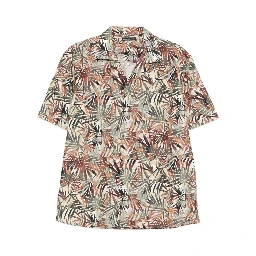 Daniele Alessandrini Shirts Brown