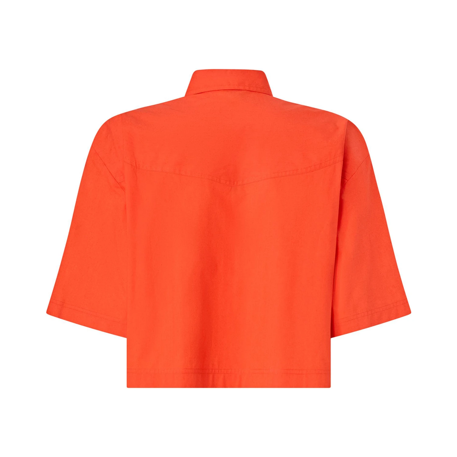 PINKO PESCARA shirt