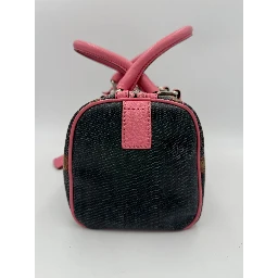 FENDI Bauletto Canvas Print Selleria Handbag