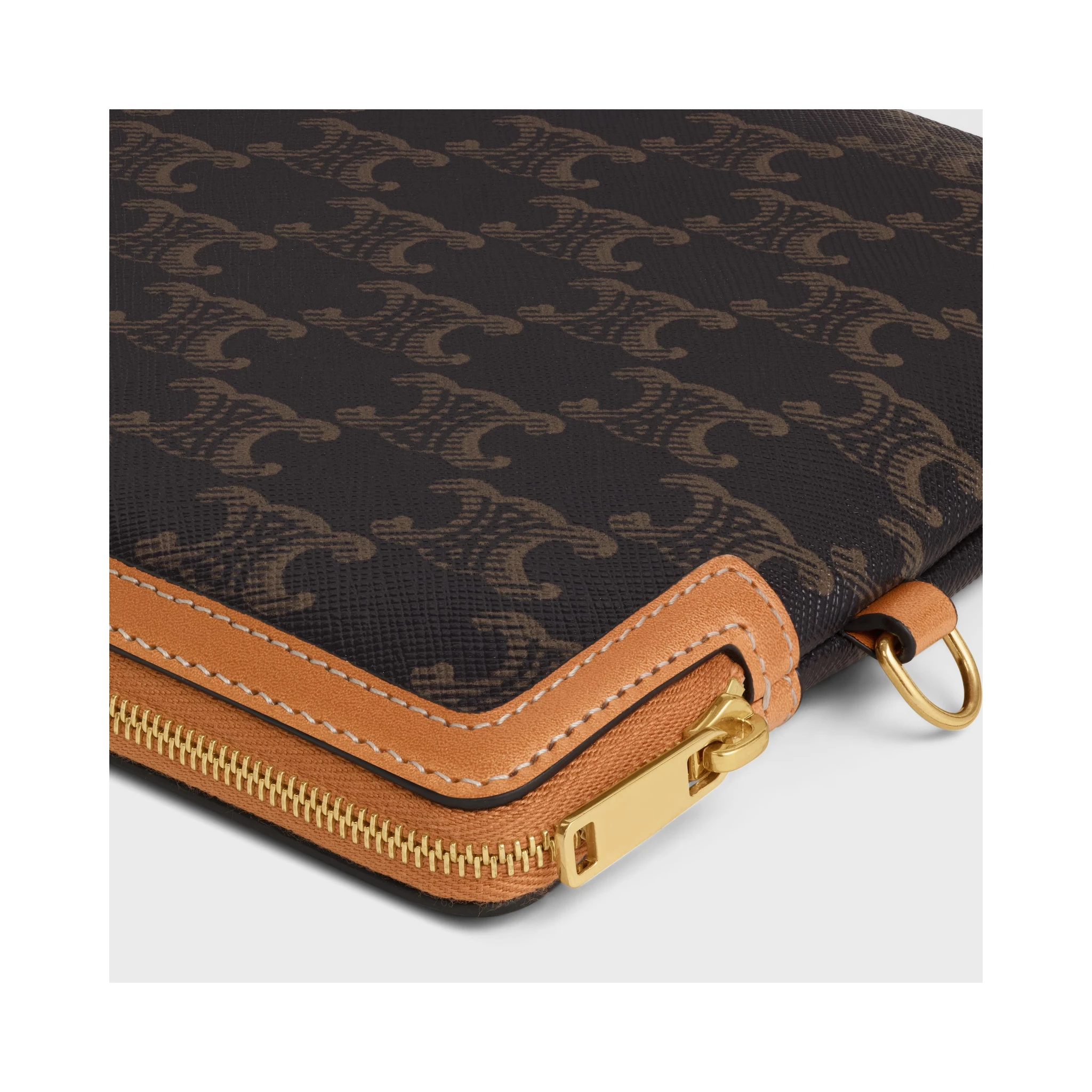 Triomphe pouch in leather and canvas