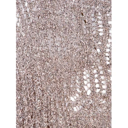 D EXTERIOR Scarfs Brown