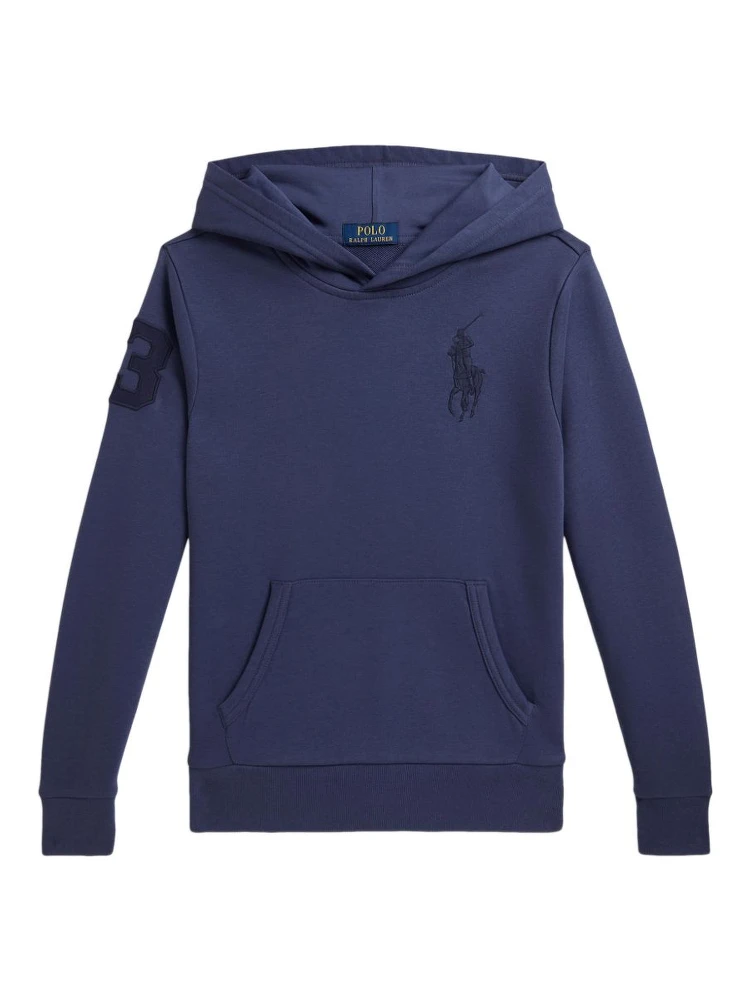 Polo Ralph Lauren Sweaters Blue
