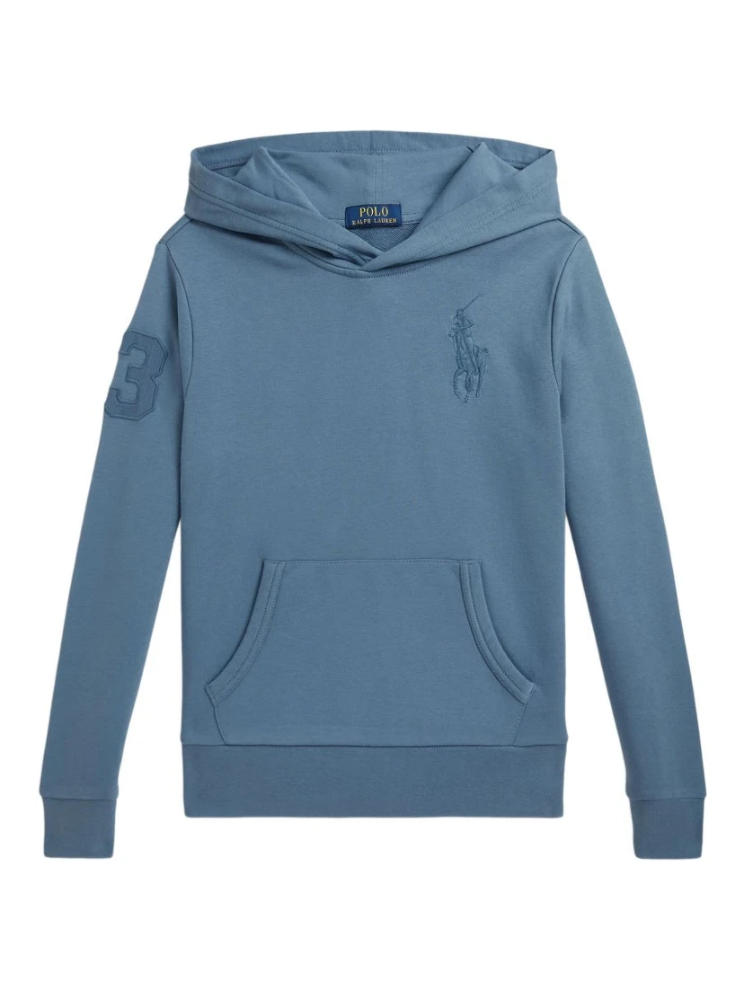 Polo Ralph Lauren Sweaters Blue