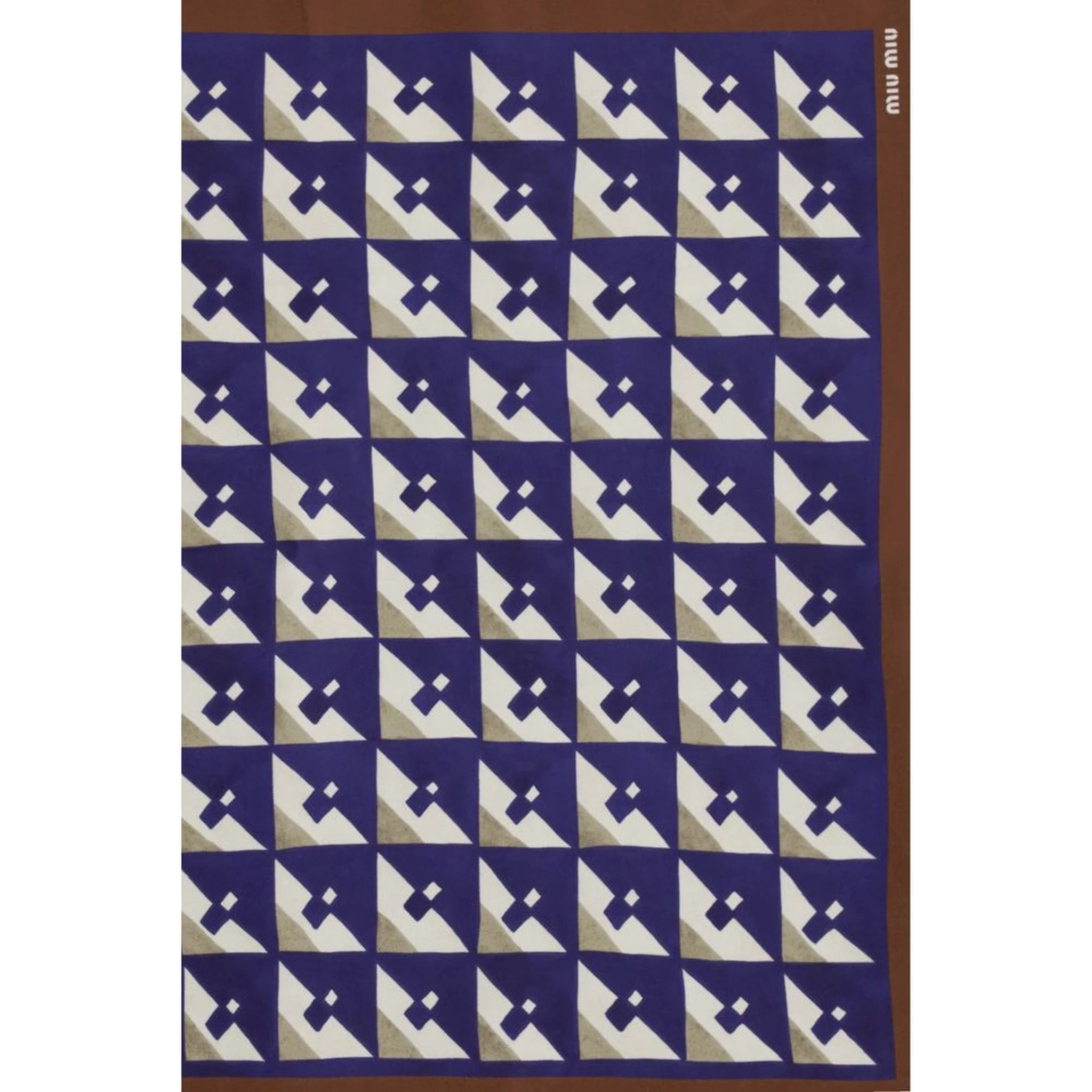 Multicolor Silk Scarf