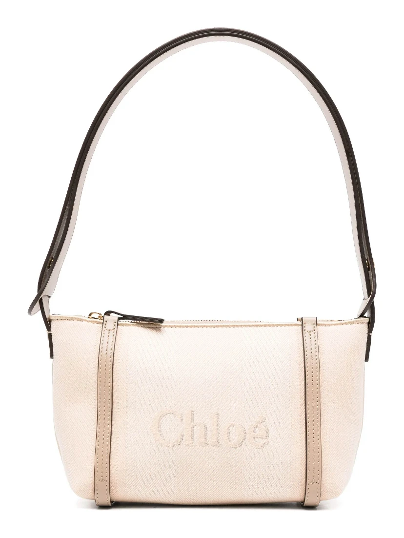 حقائب كلوي.. بيج