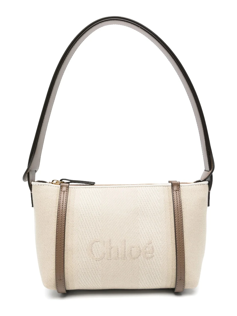 حقائب كلوي.. بيج