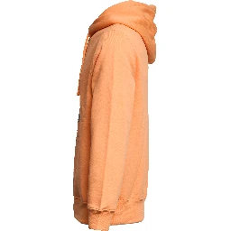 Felpa Polo Bear Con Cappuccio