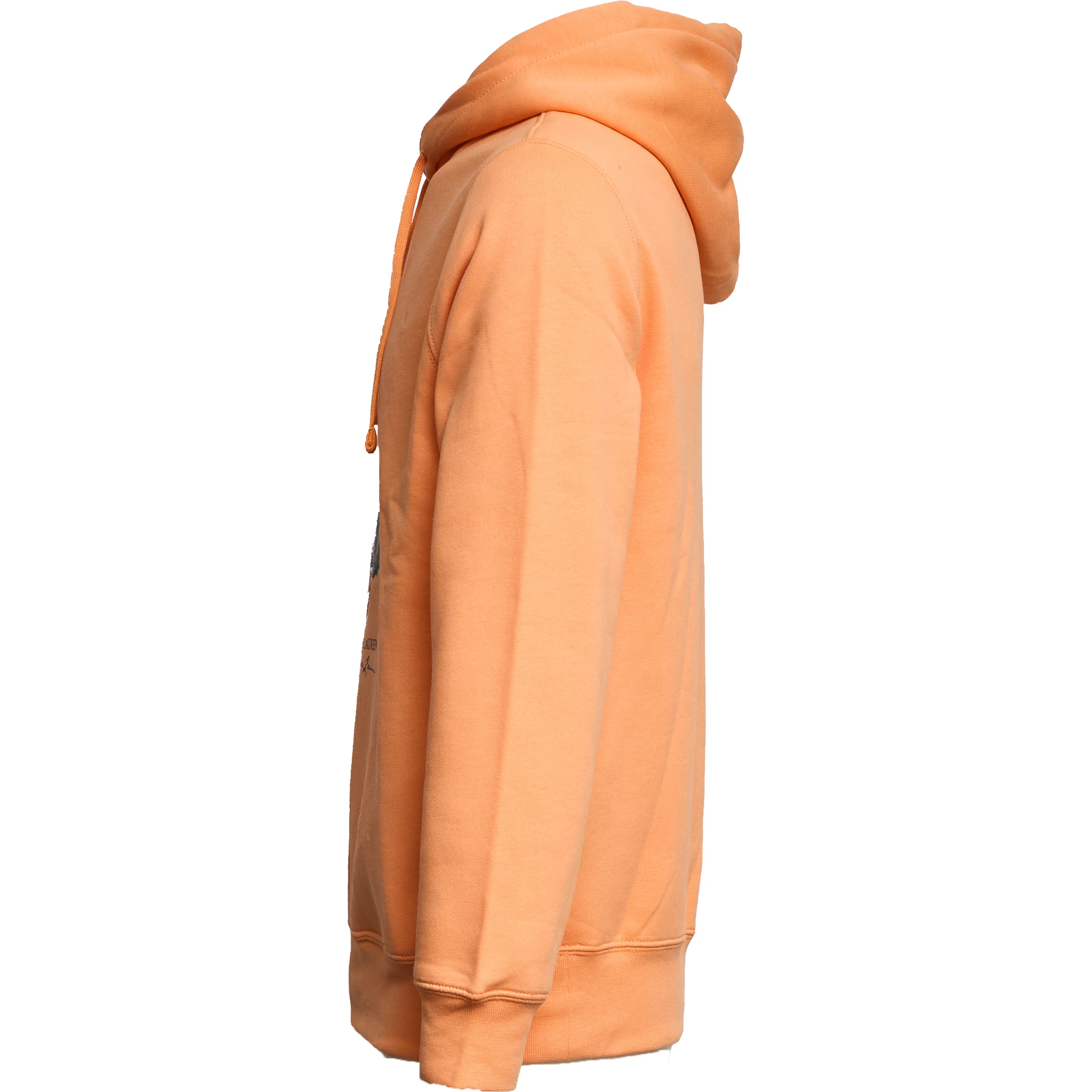 Felpa Polo Bear Con Cappuccio