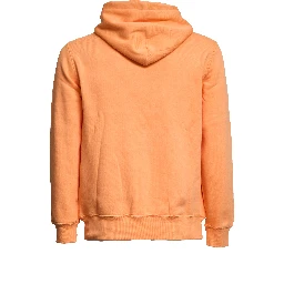 Felpa Polo Bear Con Cappuccio