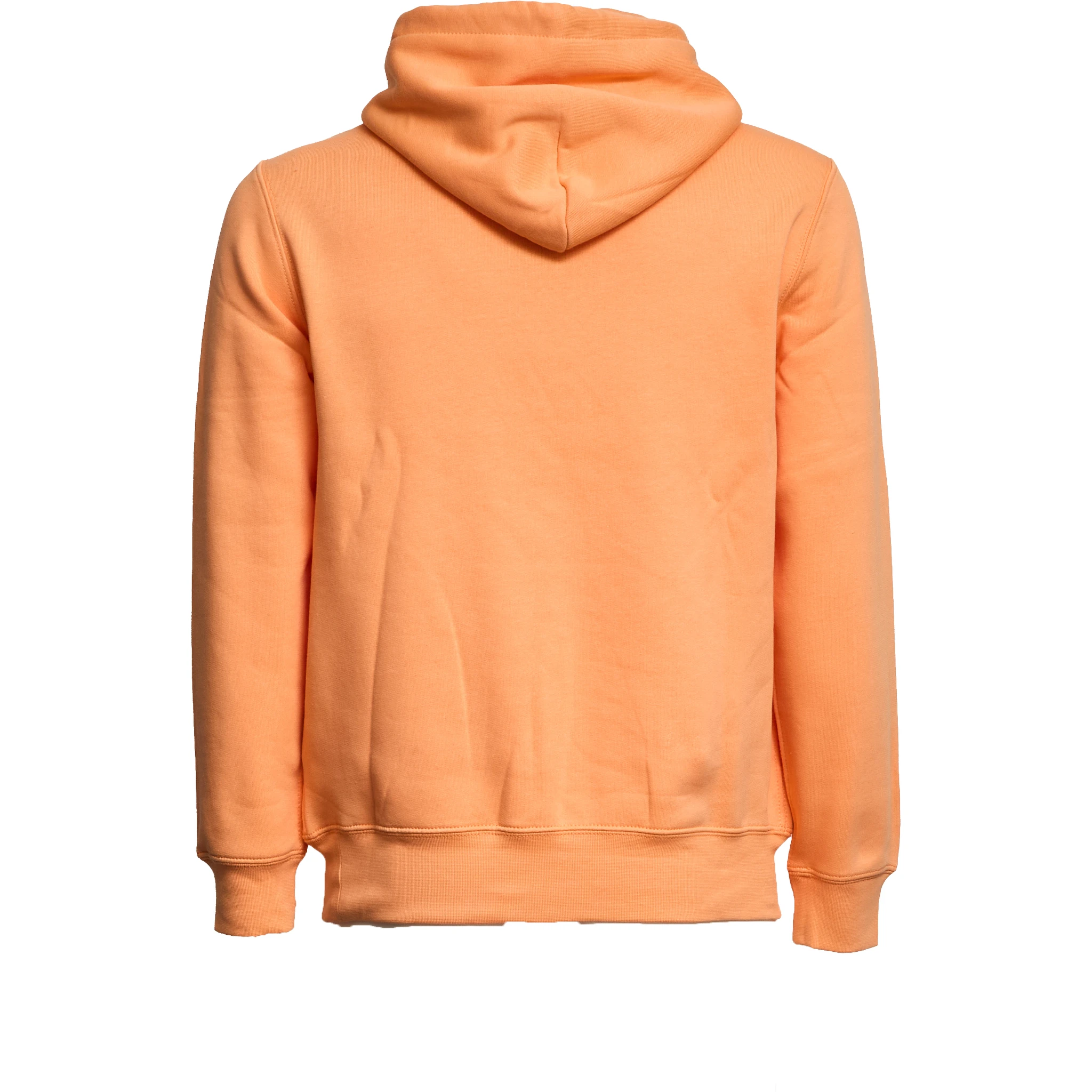 Felpa Polo Bear Con Cappuccio