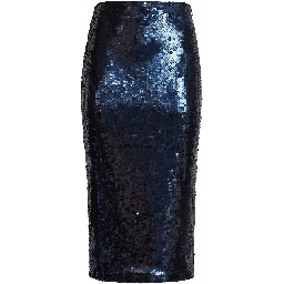 Tasha Sequins Pencil Skirt