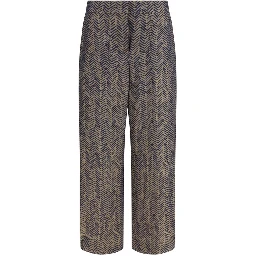 Brown Viscose Casual Pants