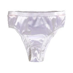 White Silk Satin Lingerie Panty Brief Underwear