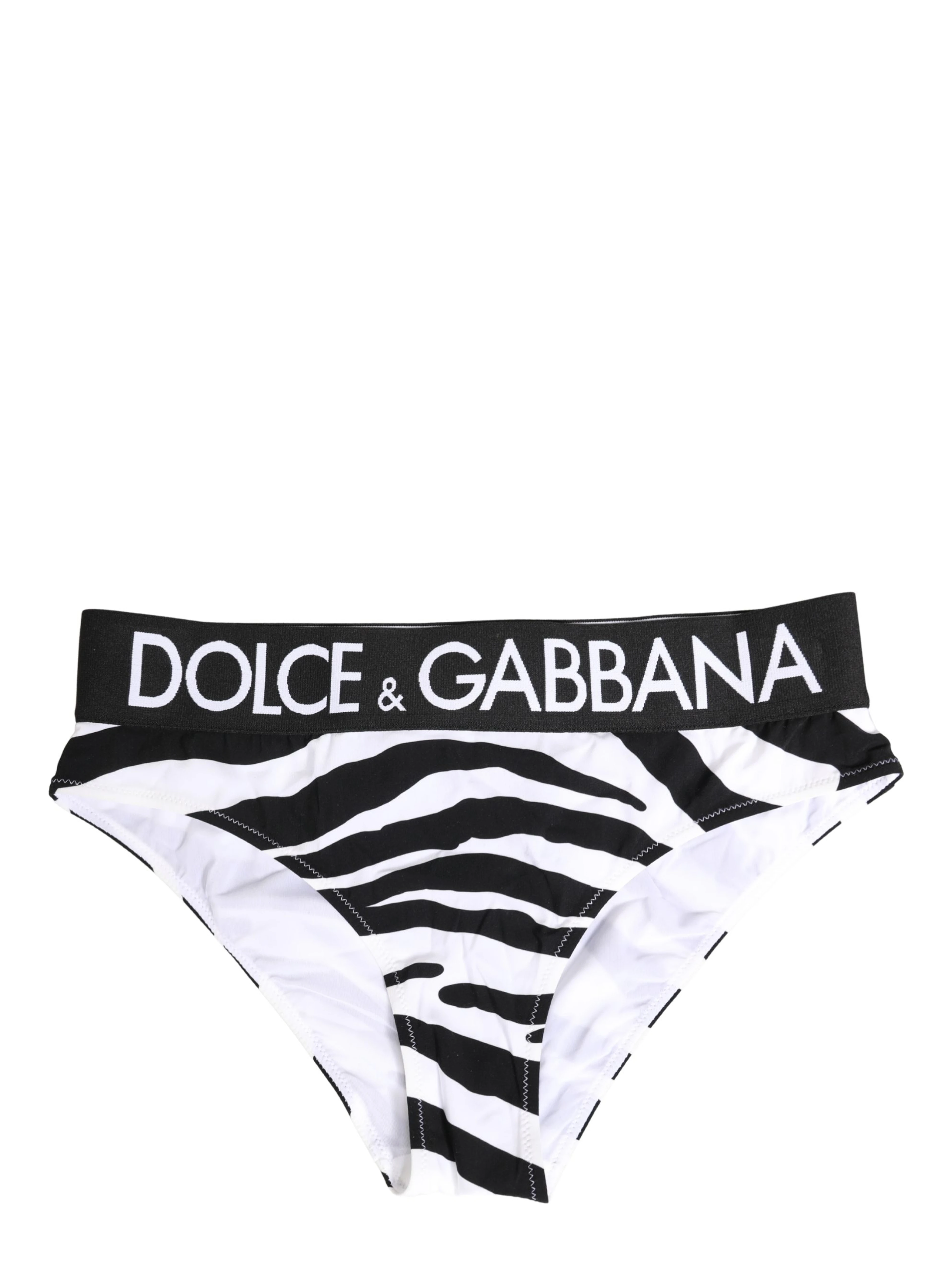 Black White Zebra Print Brief Panty Underwear