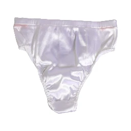 White Silk Satin Lingerie Panty Brief Underwear