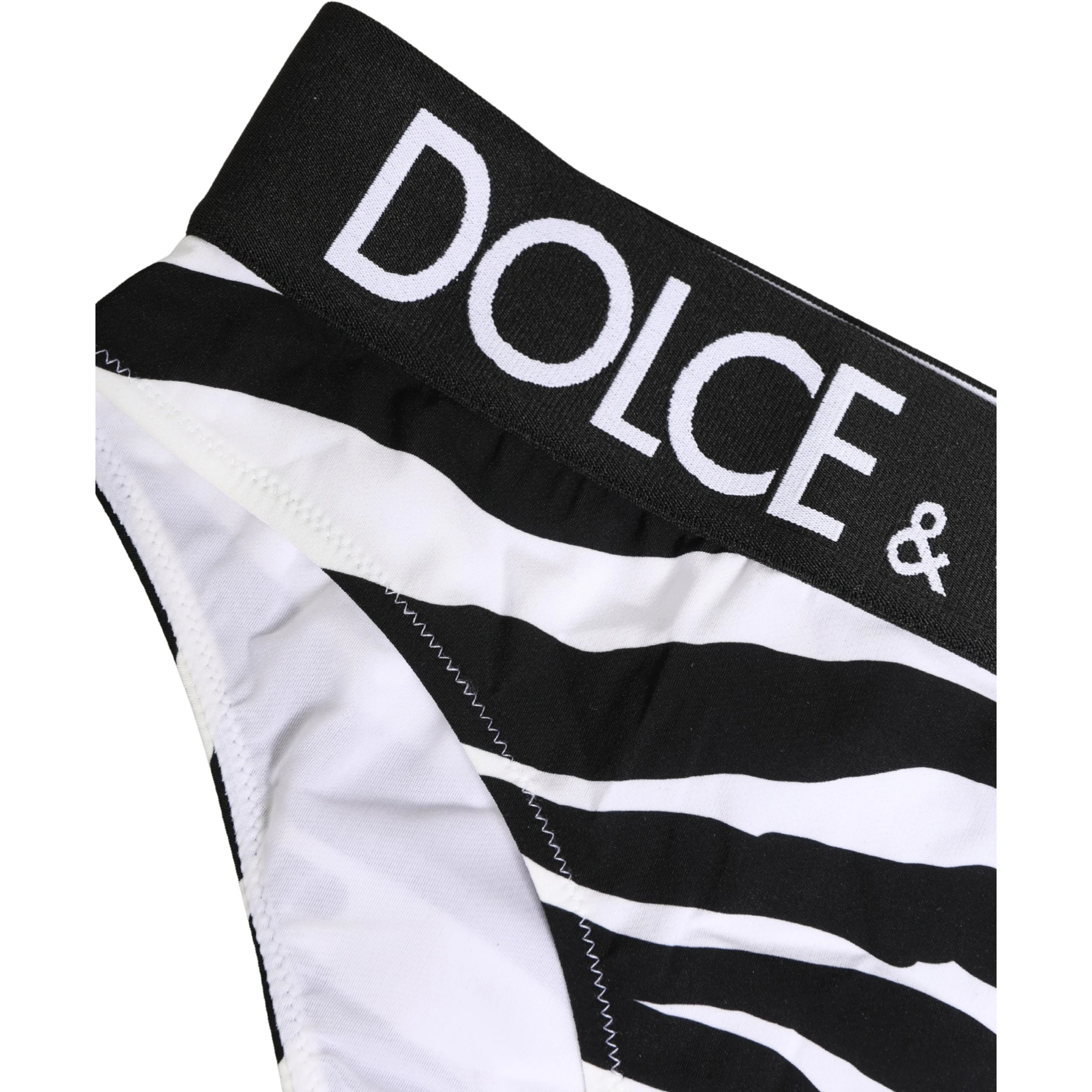 Black White Zebra Print Brief Panty Underwear