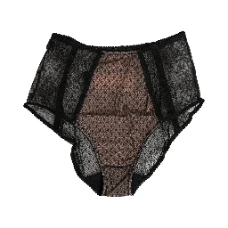Black Sheer Polka Dot Lace High Waist Brief Underwear