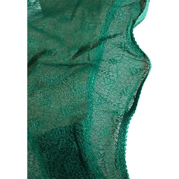 Green Lace Nylon DG Lingerie Panty Brief Underwear