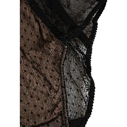 Black Sheer Polka Dot Lace High Waist Brief Underwear