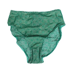 Green Lace Nylon DG Lingerie Panty Brief Underwear