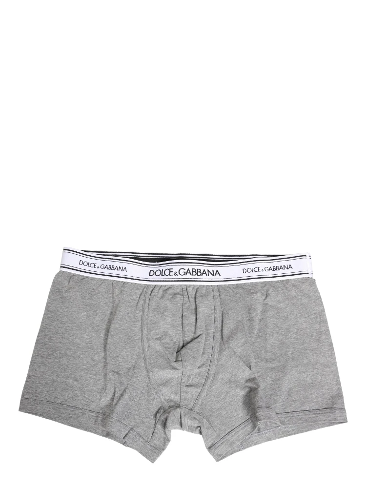 Gray Logo Waistband Cotton Men Boxer Underwear