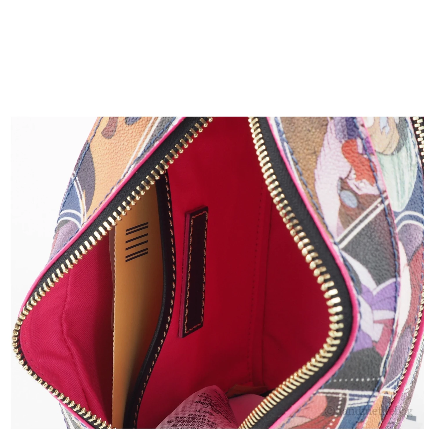 Dooney Bourke Disney The Rescuers Small Camera Crossbody Bag