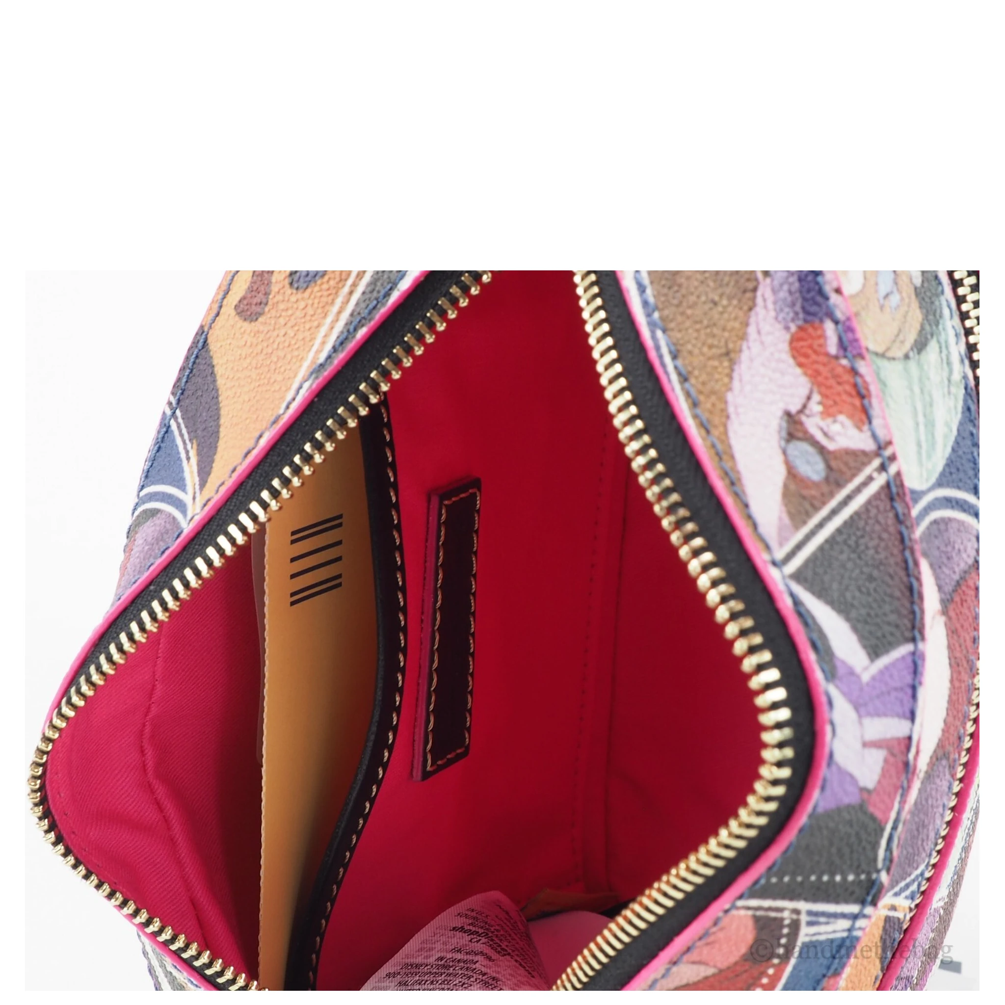 Dooney Bourke Disney The Rescuers Small Camera Crossbody Bag