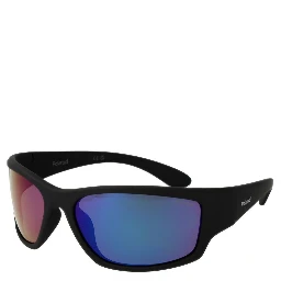 Black Plastic Sunglasses