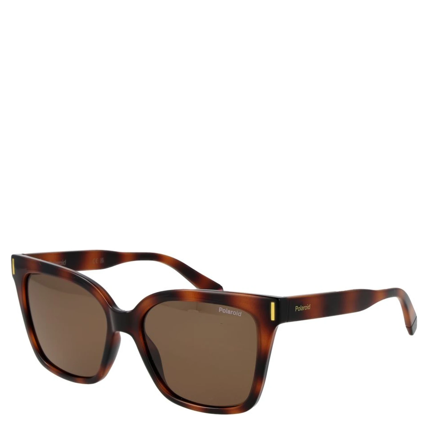 Brown Plastic Sunglasses