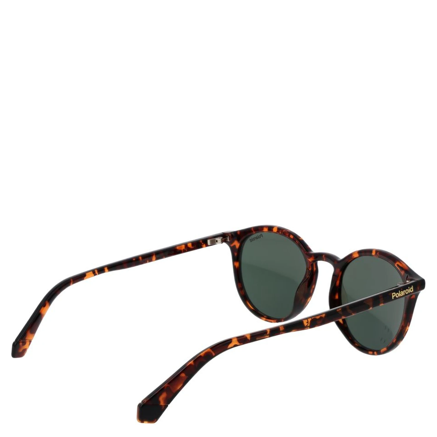 Brown Plastic Sunglasses