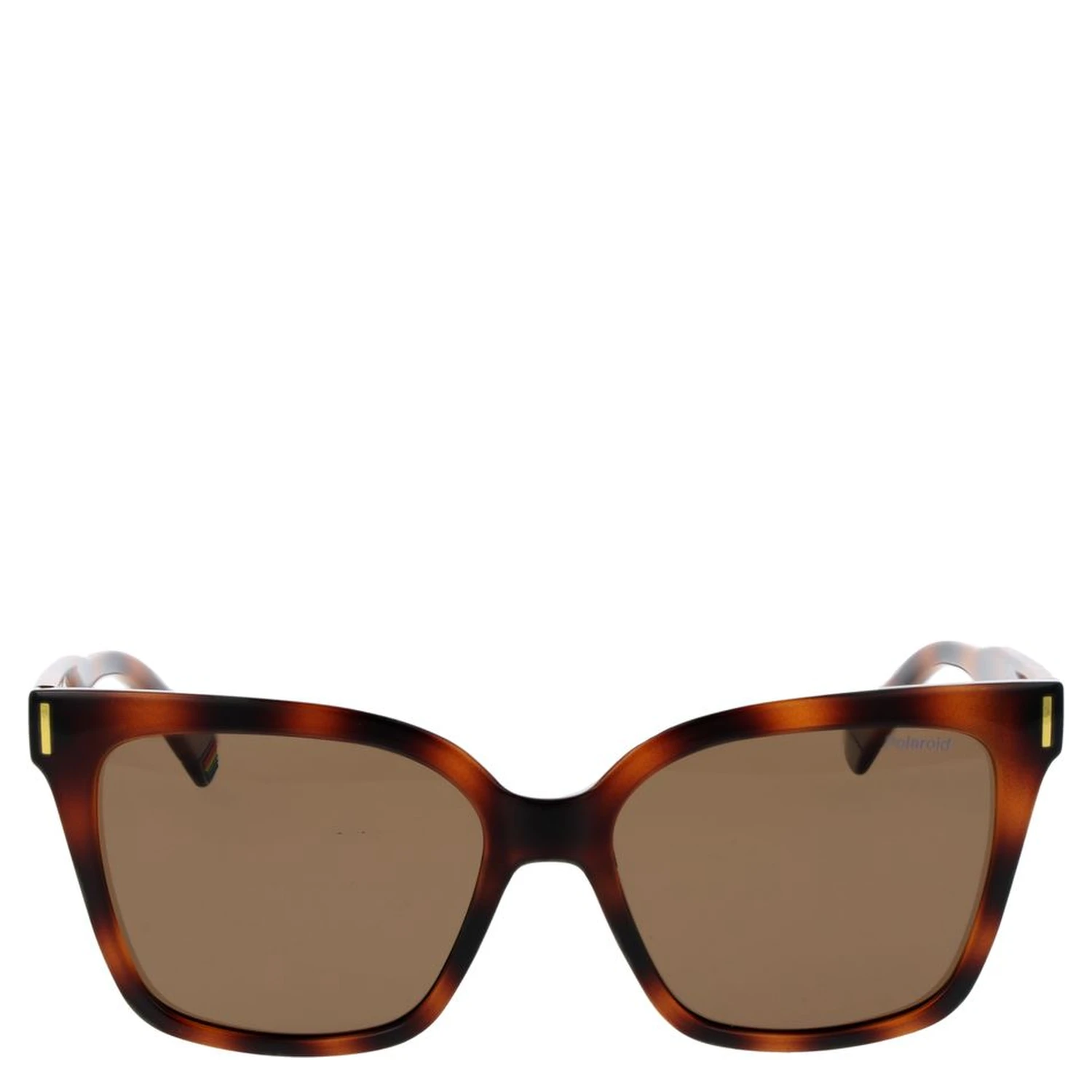 Brown Plastic Sunglasses