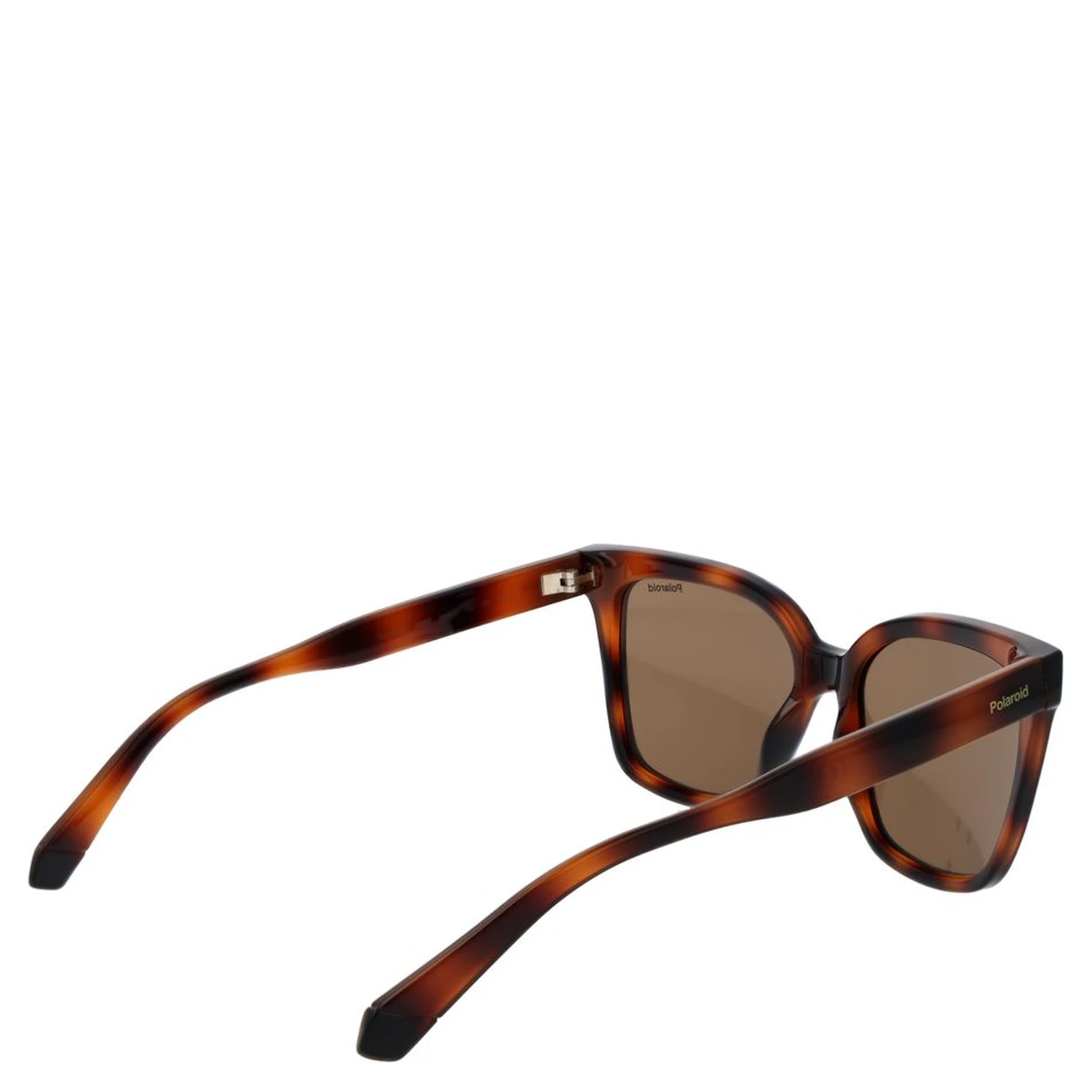 Brown Plastic Sunglasses