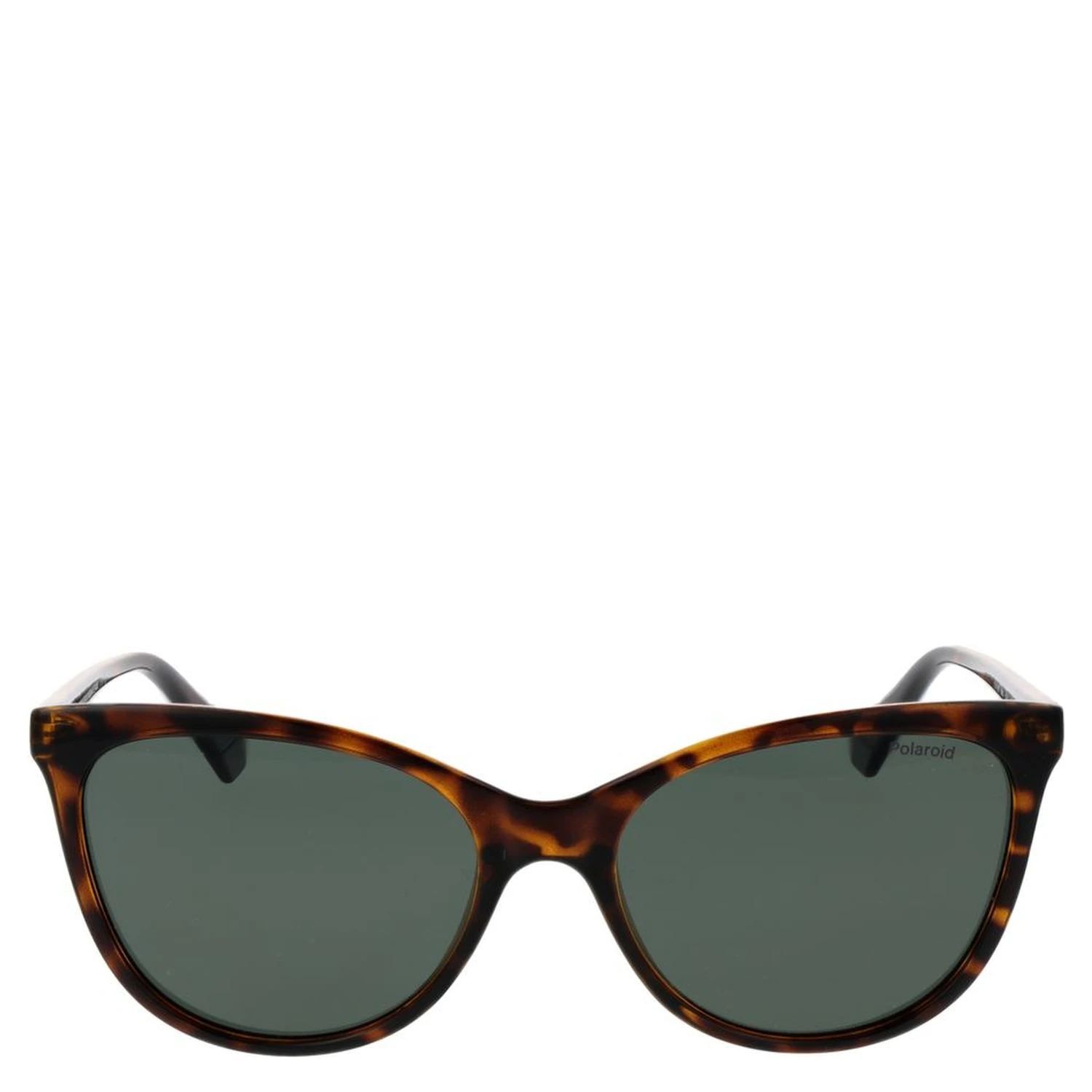 Brown Plastic Sunglasses
