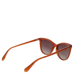 Brown Plastic Sunglasses